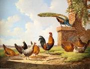 unknow artist Cocks 058 oil painting reproduction